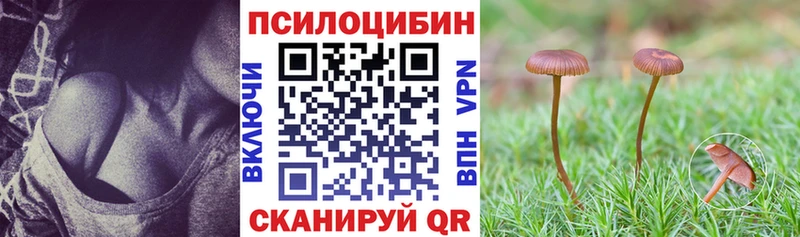 ссылка на мегу ССЫЛКА Княгинино Галлюциногенные грибы Magic Shrooms